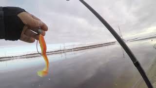 Graphiteleader tiro ex gotxs 802m mr