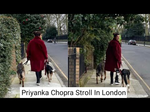 Priyanka Chopra Stroll In London With Her Pets | Nickyanka