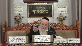 הרב אברהם שכטר | מוסר | מוסאיוף (בית הכנסת מוסאיוף - ערוץ חדש) - התמונה מוצגת ישירות מתוך אתר האינטרנט יוטיוב. זכויות היוצרים בתמונה שייכות ליוצרה. קישור קרדיט למקור התוכן נמצא בתוך דף הסרטון