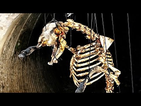 The Nickelodeon Short Made with Real Bones