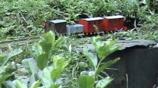 preview picture of video 'Llechfan Garden Railway, 30 October 2008'