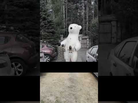 фото поздравление аниматор белый мишка, большой медведь 0