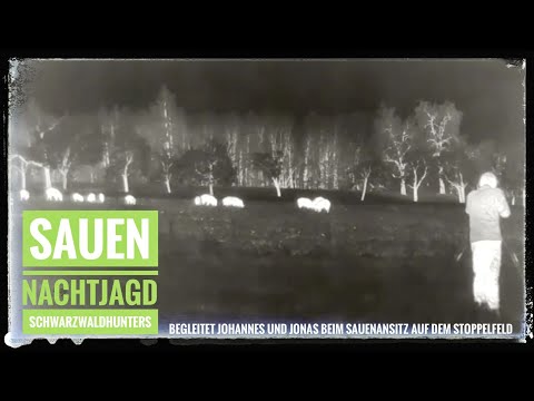 Schwarzwild | Nachtjagd | Sauen ohne Ende | Ansitz am Stoppelacker | Schwarzwaldhunters