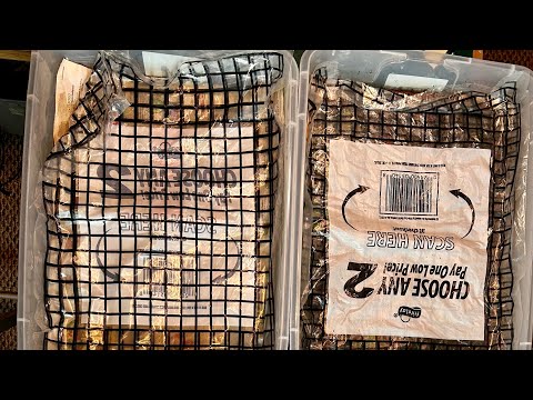 Worm Lifecycle in a Bin Management System