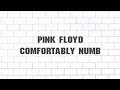 Pink Floyd - Comfortably Numb (2011 - Remaster)