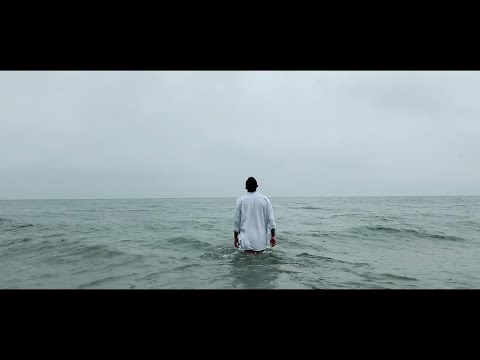 dobrzemati - harambe OFFICIAL VIDEO