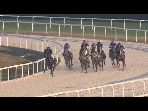 2022.11.13. 08. futam - NOVEMBERI HENDIKEP (III.o.) (szintetikus pálya)