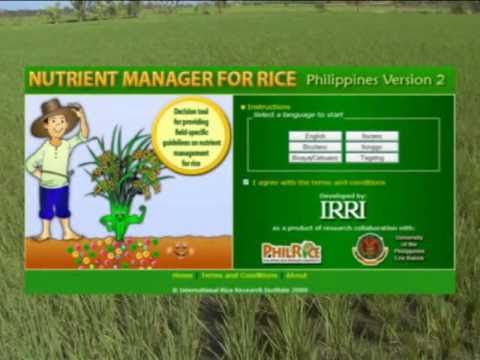 Nutrisyon para sa pagbaba ng timbang sa pamamagitan ng Elena Malysheva bili Kung paano alisin ang taba ng tiyan na may isang hugis-parihaba hugis