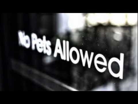 NoPetsAllowed - Ang Haters