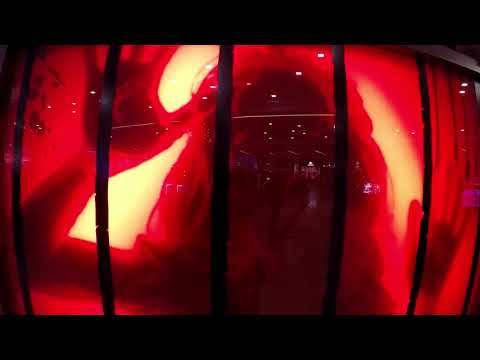 Celibatul, Secretul lui Platon de a Conduce Lumea