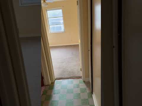 Purcell - Video 2 of 2