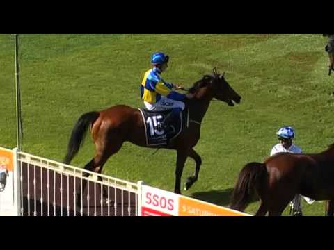 Ascot, 06/01/2015 - Race 5 - COOL PASSION - Justin Warwick & Lucy Warwick