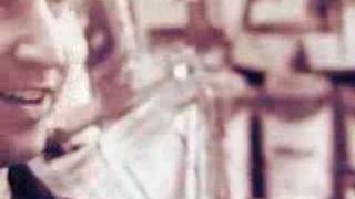 The Rifles - Peace and Quiet