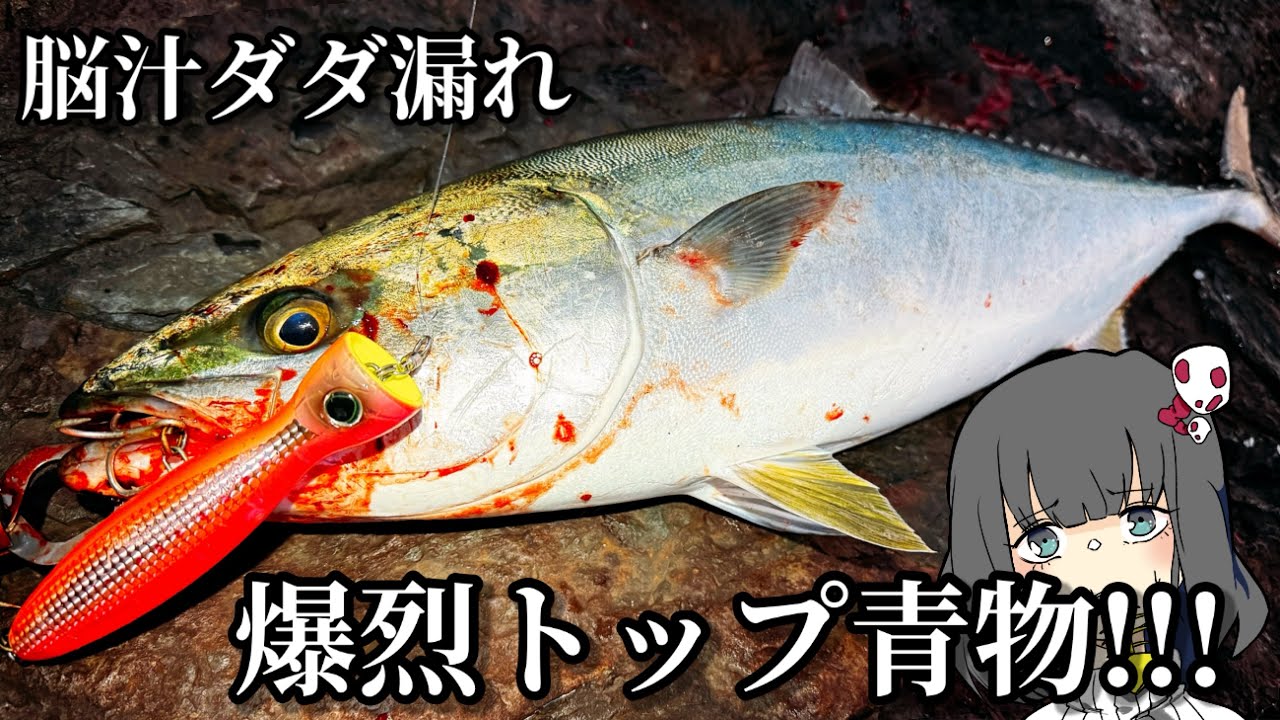 トップで青物狙うぞ！！！