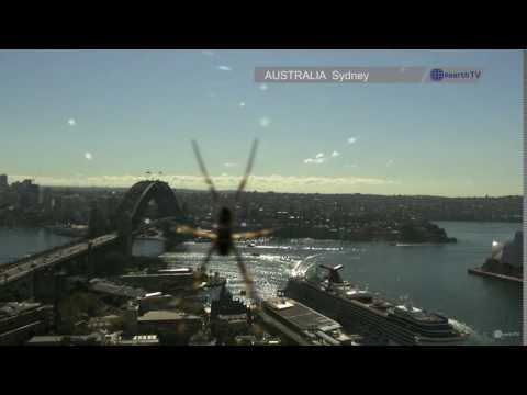A funny spider caught on earthTV camera in Sydney - Australia