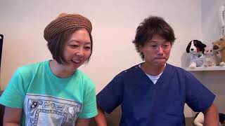 【シュガーペット＃３７】クイズで振り返る猫との思い出🐱