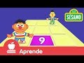 Sésamo Beto Y Enrique Y El Baile Del Número 9