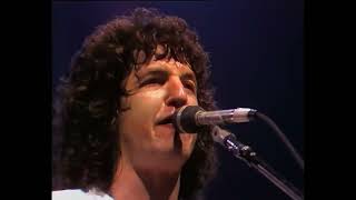 REO Speedwagon Shakin' It Loose &amp; Johnny B Goode Live Germany 1982 4K