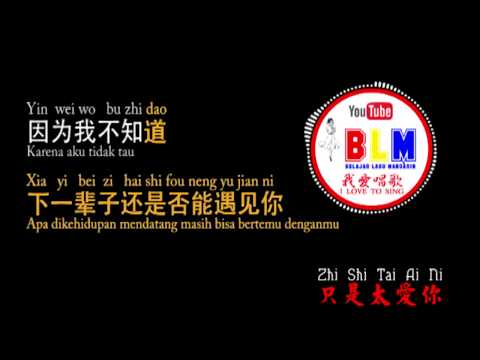 Zhi Shi Tai Ai Ni -  KARAOKE - 只是太爱你 - Karena terlalu mencintaimu - Pinyin  Subscribe for more video