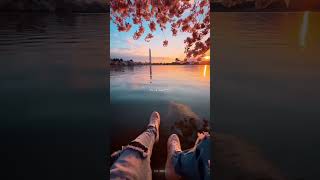 Download lagu tu hi ye mujhko bata de chahun main ya naa 🥺🦋 | whatsapp status | #shorts #lyrics #lovestatus mp3 Download lagu tu hi ye mujhko bata de chahun main ya naa 🥺🦋 | whatsapp status | #shorts #lyrics #lovestatus mp3