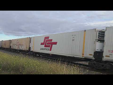 6PM9 SCT Grey Ghost to Melbourne,  3/6/24, Stawell VIC