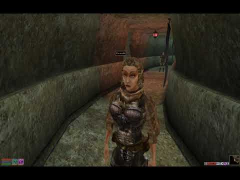 Writ for Mavon Drenim - Elder Scrolls Morrowind