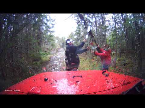 Cape Breton Off Road:   May 20th, 2019 - Kelly's Mountain (Clearing ATV Trails of trees)