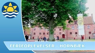 preview picture of video 'Sommerhus i Hornbæk - ferie ved Øresundskysten'