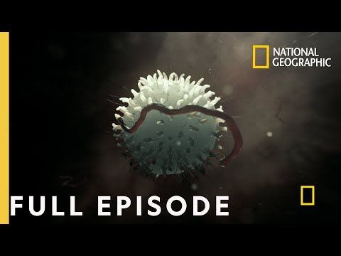 The Journey of Humankind: Cheating Death (Full Episode) | Origins