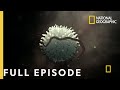 The Journey Of Humankind Cheating Death Full Episode Origins