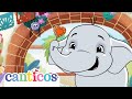 The Happy Birthday Song YouTube S Birthday Special Song Canticos Nursery Rhymes Kids Rhymes