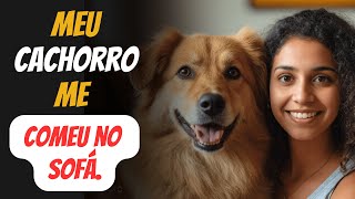 Eu nunca imaginei o que estava por trás do comportamento do meu cachorro