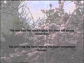 Do You - Carina Round (Lyrics)