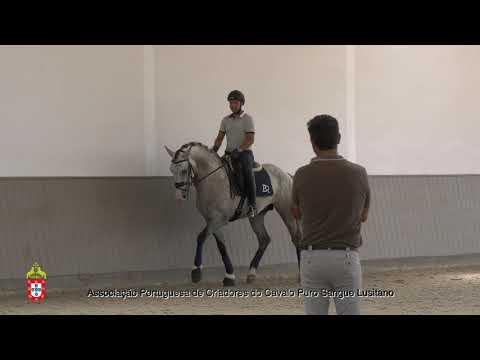 7 João Tareco com Namorico da Misericordia