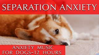 12 Hours of Deep Separation Anxiety Music for Dogs [They will thank you!]