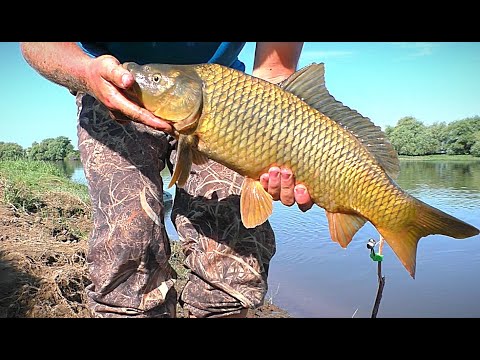 Сазан на жмых и рыбалка на закидушки. Вышел первый раз на моторе