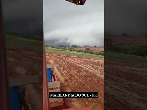registro feito em Marilandia do sul - PR