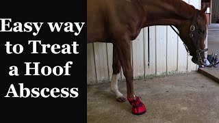 How to: SOAK and WRAP your Horse