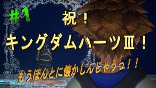 【キングダムハーツⅢ】祝！発売！そしてもう冒頭から感動しているすずらんｗ【実況】Part1