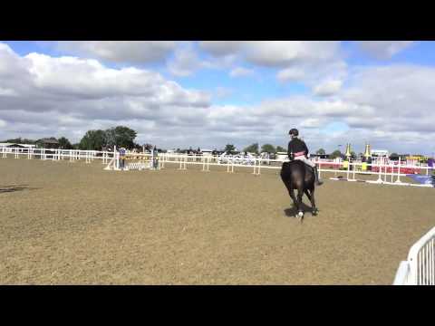 El Nino Arena UK 5yr old qualifier day 2
