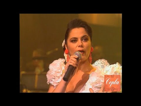 Maria Vidal - Fiebre de sur (1993)