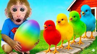 Download lagu 🐒🥚 Jojo Finds a Magical Rainbow Egg & Colorful Chicks! 🌈🐥 Super Cute Surprise! JoJo the Monkey mp3