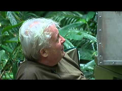 Jason Can't Remember His Own Songs | I'm A Celebrity... Get Me Out Of Here!