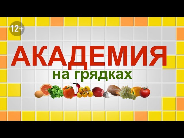 Академия на грядках 10 февраля 2021