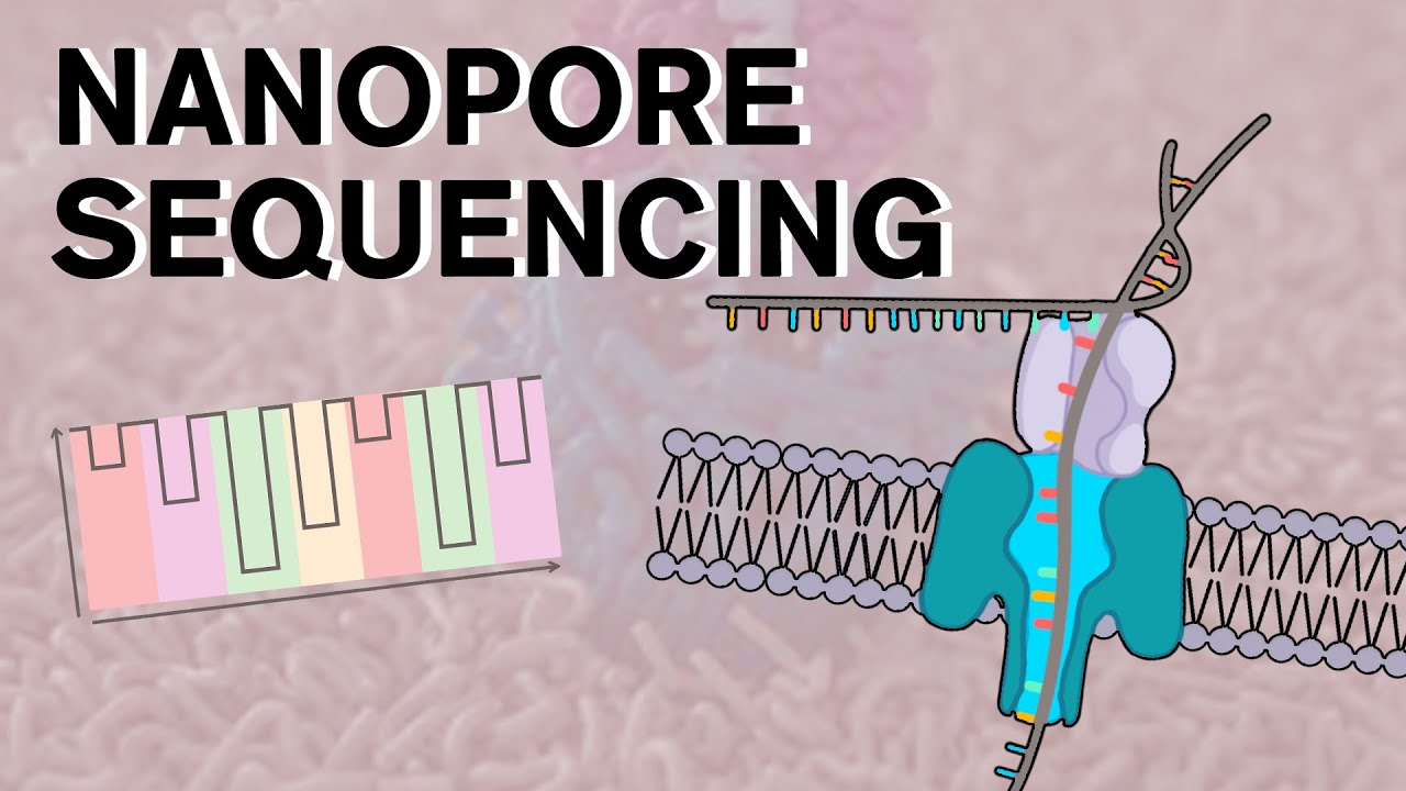 Nanopore Sequencing