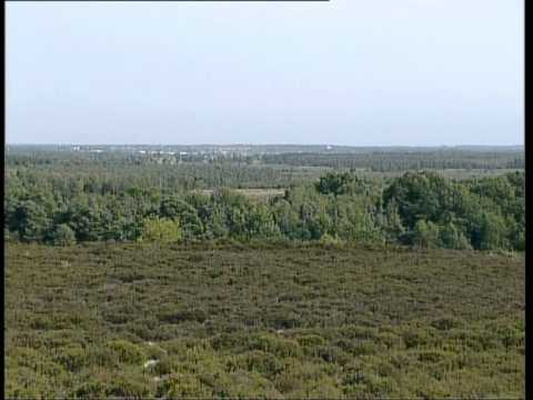 Herman Lippinkhof   Mooi Overiessel