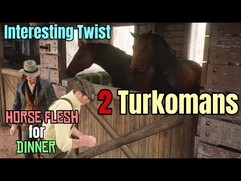 Interesting Variation of Getting the Braithwaite Turkoman : Red Dead Redemption 2
