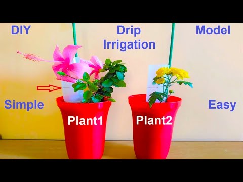drip irrigation working model 3d inspire award science project diy howtofunda craftpiller