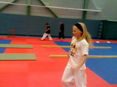 Panda-leiri 2009 - taitoradan finaali