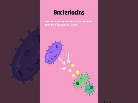 Microbial Antagonism